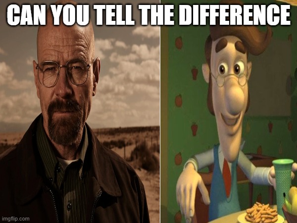 i cant tell | CAN YOU TELL THE DIFFERENCE | image tagged in funny,walter white | made w/ Imgflip meme maker