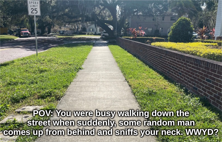 no joke ocs | no bambi ocs | POV: You were busy walking down the street when suddenly, some random man comes up from behind and sniffs your neck. WWYD? | image tagged in pov,roleplaying | made w/ Imgflip meme maker