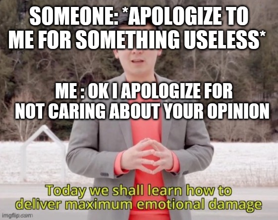 maximum emotional damage | SOMEONE: *APOLOGIZE TO ME FOR SOMETHING USELESS*; ME : OK I APOLOGIZE FOR NOT CARING ABOUT YOUR OPINION | image tagged in maximum emotional damage | made w/ Imgflip meme maker