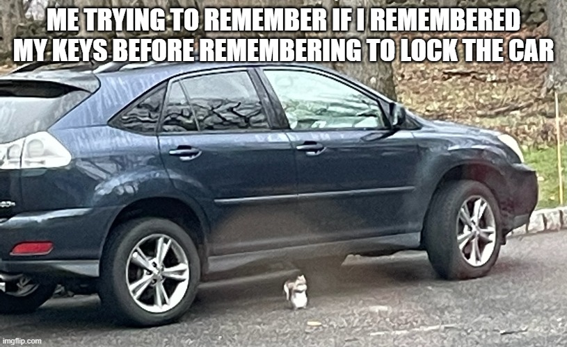 I cannot remember | ME TRYING TO REMEMBER IF I REMEMBERED MY KEYS BEFORE REMEMBERING TO LOCK THE CAR | image tagged in deep thoughts squirrel | made w/ Imgflip meme maker