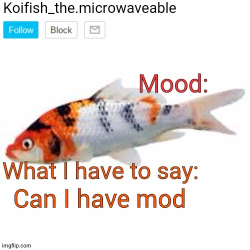 Koifish_the.microwaveable announcement | Can I have mod | image tagged in koifish_the microwaveable announcement | made w/ Imgflip meme maker