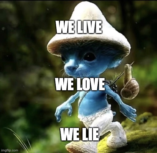 We Live We Love We Lie | WE LIVE; WE LOVE; WE LIE | image tagged in blue smurf cat | made w/ Imgflip meme maker