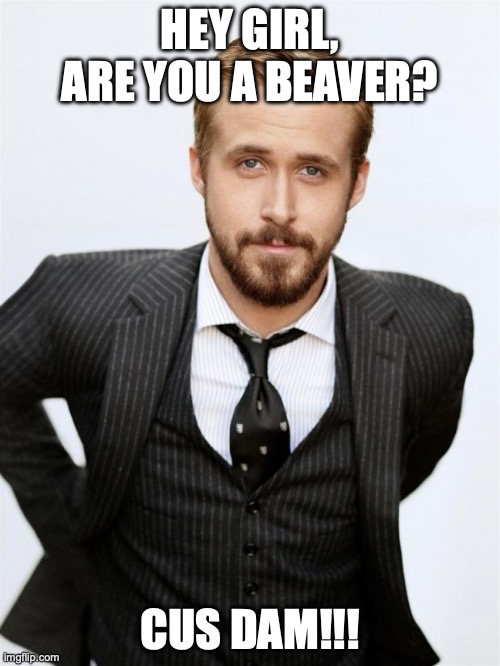 hey girl | HEY GIRL, ARE YOU A BEAVER? CUS DAM!!! | image tagged in ryan gosling,hey girl,pickup lines,rizz | made w/ Imgflip meme maker
