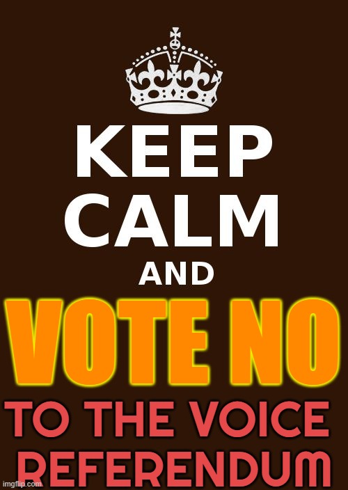 Vote No to The Voice | VOTE NO; TO THE VOICE 
REFERENDUM | image tagged in keep calm and brown,meanwhile in australia,australia,australians,referendum,british empire | made w/ Imgflip meme maker