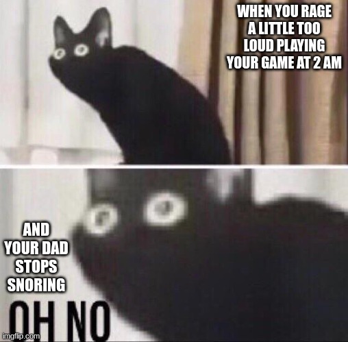 dont play video games at night | WHEN YOU RAGE A LITTLE TOO LOUD PLAYING YOUR GAME AT 2 AM; AND YOUR DAD STOPS SNORING | image tagged in oh no cat | made w/ Imgflip meme maker