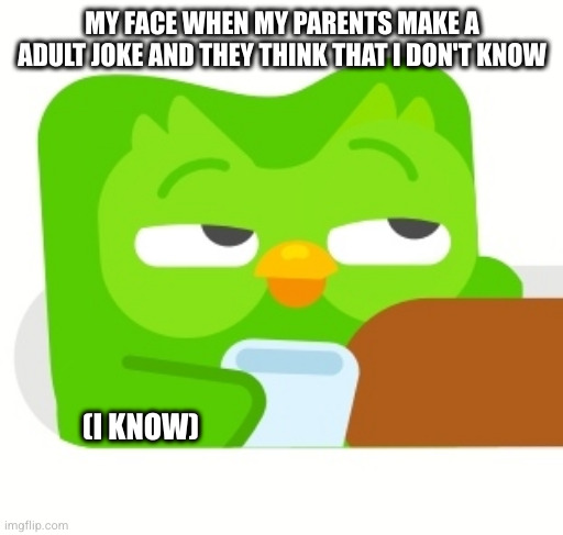 MY FACE WHEN MY PARENTS MAKE A ADULT JOKE AND THEY THINK THAT I DON'T KNOW; (I KNOW) | made w/ Imgflip meme maker