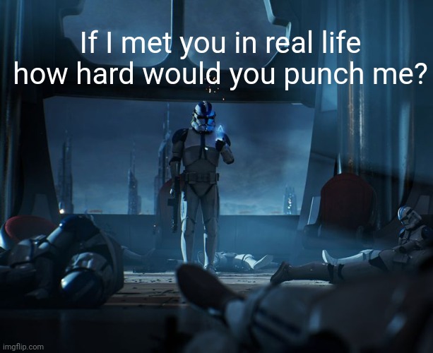 501st | If I met you in real life how hard would you punch me? | image tagged in 501st | made w/ Imgflip meme maker