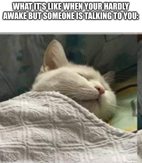 This happens to me all the time | WHAT IT'S LIKE WHEN YOUR HARDLY AWAKE BUT SOMEONE IS TALKING TO YOU: | image tagged in cat sleeping blanket r | made w/ Imgflip meme maker