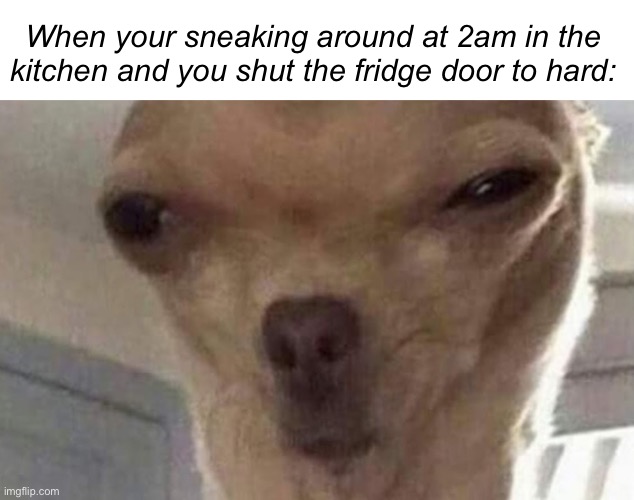 IM BOUTA DIE | When your sneaking around at 2am in the kitchen and you shut the fridge door to hard: | image tagged in memes,fridge | made w/ Imgflip meme maker