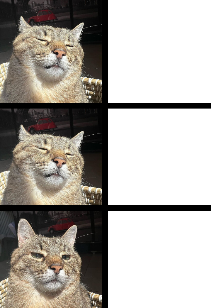 Stepan cat Blank Meme Template