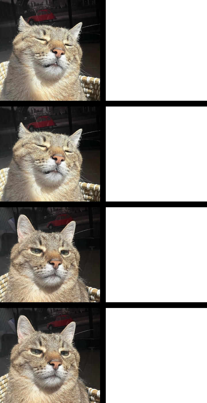 Stepan cat Blank Meme Template
