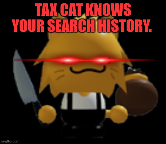 tax cat | TAX CAT KNOWS YOUR SEARCH HISTORY. | image tagged in tax cat | made w/ Imgflip meme maker