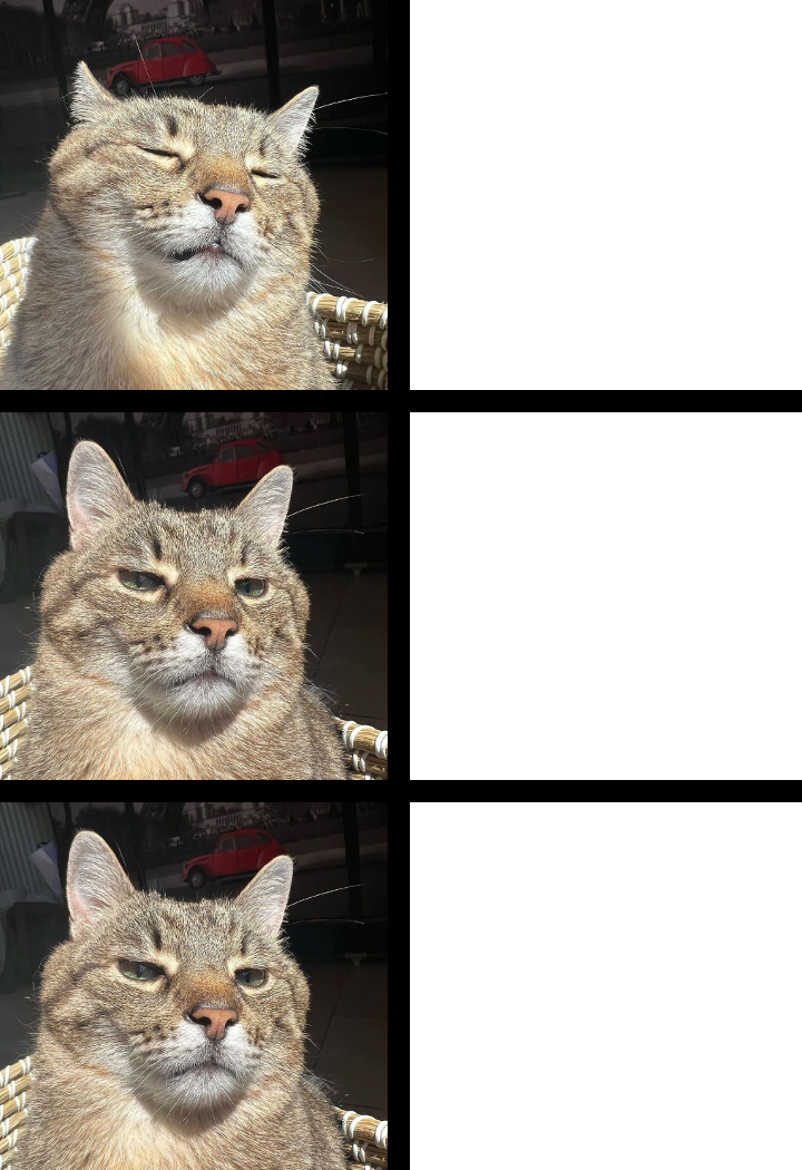 Stepan cat Blank Meme Template