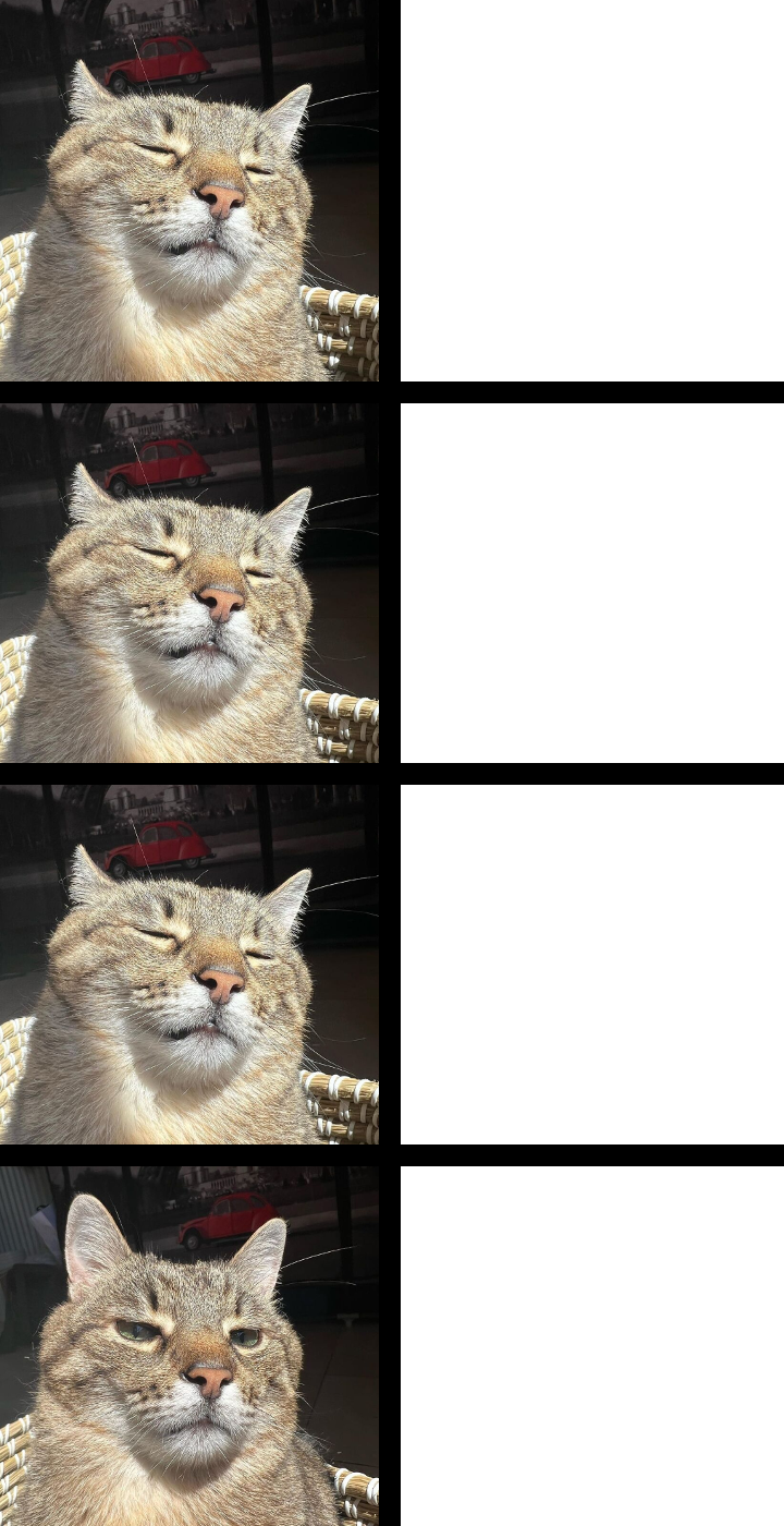 Stepan cat Blank Meme Template