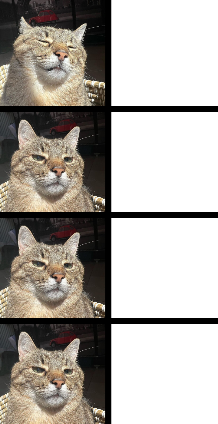 Stepan cat Blank Meme Template
