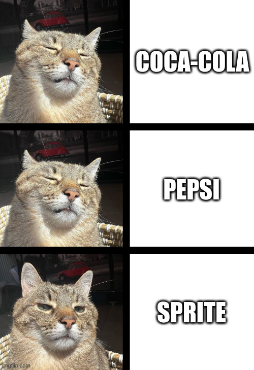 Stepan cat | COCA-COLA PEPSI SPRITE | image tagged in stepan cat | made w/ Imgflip meme maker