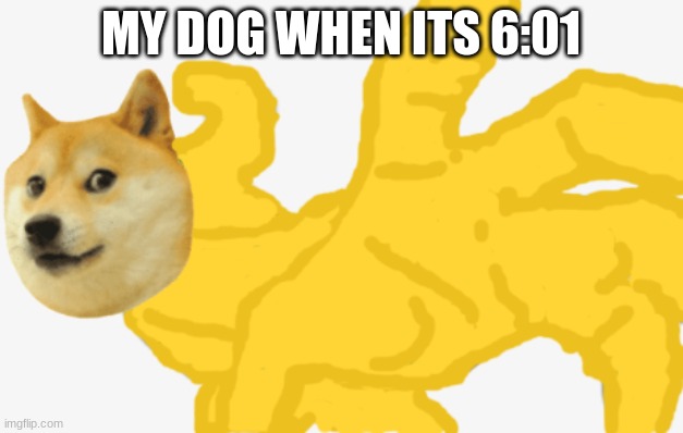 Anger dog | MY DOG WHEN ITS 6:01 | image tagged in punching doge | made w/ Imgflip meme maker