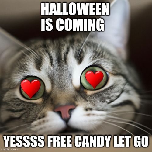 oct 5 | HALLOWEEN IS COMING; YESSSS FREE CANDY LET GO | image tagged in funny | made w/ Imgflip meme maker