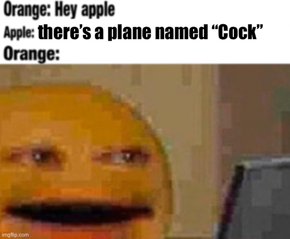 Hey apple | there’s a plane named “Cock” | image tagged in hey apple | made w/ Imgflip meme maker