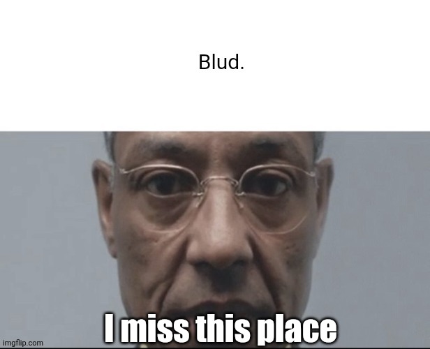 I wish I was allowed on | I miss this place | image tagged in blud | made w/ Imgflip meme maker