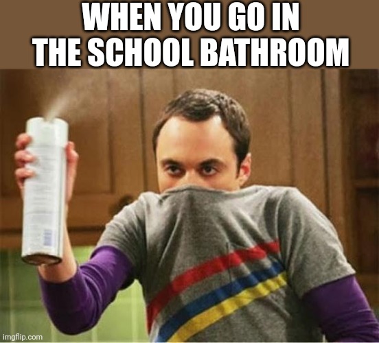 smelly 1 | WHEN YOU GO IN THE SCHOOL BATHROOM | image tagged in smelly 1 | made w/ Imgflip meme maker