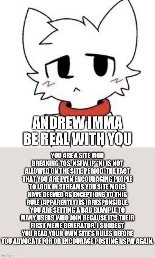 There are literal 11 and 12 year olds on this site for god sakes (yes I know, they brake the TOS too but no one is really stoppi | YOU ARE A SITE MOD BREAKING TOS. NSFW (P**N) IS NOT ALLOWED ON THE SITE, PERIOD. THE FACT THAT YOU ARE EVEN ENCOURAGING PEOPLE TO LOOK IN STREAMS YOU SITE MODS HAVE DEEMED AS EXCEPTIONS TO THIS RULE (APPARENTLY) IS IRRESPONSIBLE. YOU ARE SETTING A BAD EXAMPLE TO MANY USERS WHO JOIN BECAUSE IT’S THEIR FIRST MEME GENERATOR. I SUGGEST YOU READ YOUR OWN SITE’S RULES BEFORE YOU ADVOCATE FOR OR ENCOURAGE POSTING NSFW AGAIN. ANDREW IMMA BE REAL WITH YOU | made w/ Imgflip meme maker