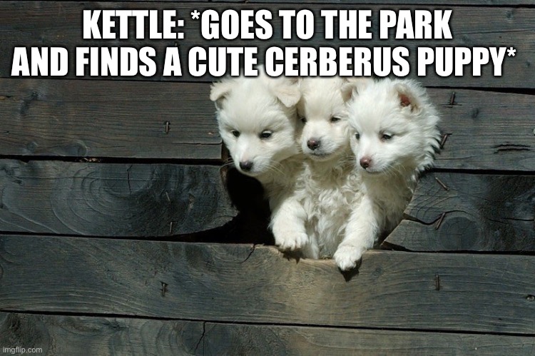 Kettle finds a cute little pet | KETTLE: *GOES TO THE PARK AND FINDS A CUTE CERBERUS PUPPY* | image tagged in cerberus pups | made w/ Imgflip meme maker