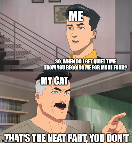 The deal for owning a cat. | ME; SO, WHEN DO I GET QUIET TIME FROM YOU BEGGING ME FOR MORE FOOD? MY CAT; THAT'S THE NEAT PART, YOU DON'T | image tagged in that's the neat part you don't | made w/ Imgflip meme maker