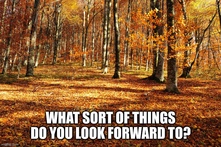 I'm taking a poll | WHAT SORT OF THINGS
DO YOU LOOK FORWARD TO? | image tagged in autumn outdoor wallpapers - wallpaper cave | made w/ Imgflip meme maker