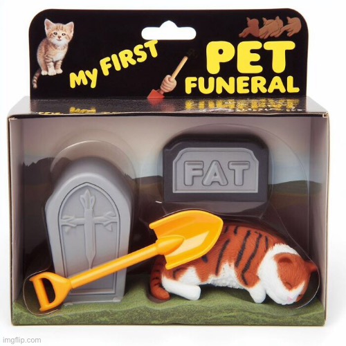 Pet cat | image tagged in funeral,my first,pet funeral,cat,fake products | made w/ Imgflip meme maker