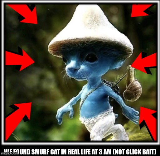 average YouTube clickbait | WE FOUND SMURF CAT IN REAL LIFE AT 3 AM (NOT CLICK BAIT) | image tagged in clickbait,dies from cringe | made w/ Imgflip meme maker