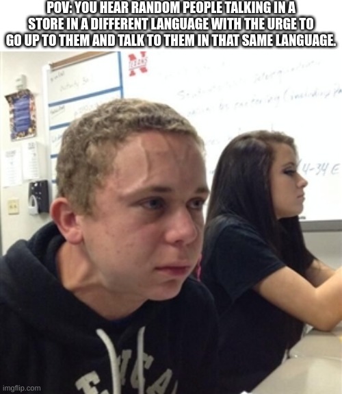 I think that this might have sounded better in my head, but whatever... | POV: YOU HEAR RANDOM PEOPLE TALKING IN A STORE IN A DIFFERENT LANGUAGE WITH THE URGE TO GO UP TO THEM AND TALK TO THEM IN THAT SAME LANGUAGE. | image tagged in vein forehead guy | made w/ Imgflip meme maker