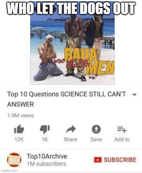 Who did let the dogs out? | WHO LET THE DOGS OUT | image tagged in top ten questions science cant answer | made w/ Imgflip meme maker
