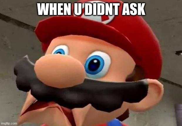 Mario WTF | WHEN U DIDNT ASK | image tagged in mario wtf | made w/ Imgflip meme maker