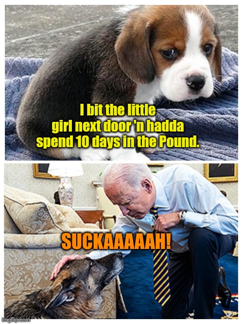 Stick to SS Agents, Kid!!! | I bit the little girl next door 'n hadda spend 10 days in the Pound. SUCKAAAAAH! | made w/ Imgflip meme maker