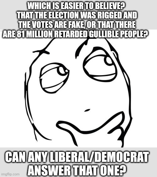 Question Rage Face Meme | WHICH IS EASIER TO BELIEVE?  THAT THE ELECTION WAS RIGGED AND THE VOTES ARE FAKE, OR THAT THERE ARE 81 MILLION RETARDED GULLIBLE PEOPLE? CAN | image tagged in memes,question rage face | made w/ Imgflip meme maker