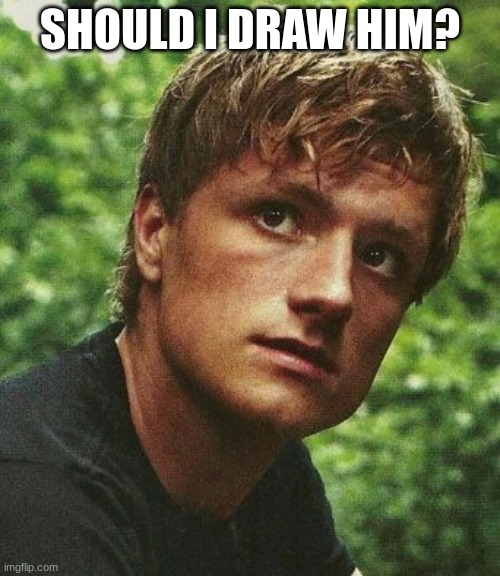 should I draw Peeta from the hunger games | SHOULD I DRAW HIM? | made w/ Imgflip meme maker