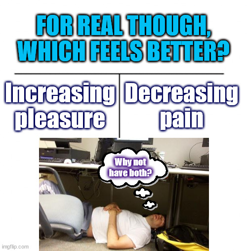 I know it depends on absolute values but subjectively, in general, what do you think? | FOR REAL THOUGH,
WHICH FEELS BETTER? Increasing pleasure; Decreasing pain; Why not
have both? | image tagged in t chart | made w/ Imgflip meme maker