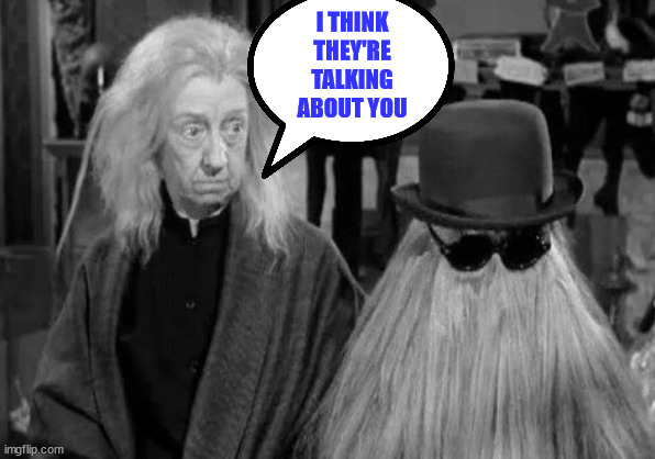 Addams Family Grandmama and Cousin It | I THINK THEY'RE TALKING ABOUT YOU | image tagged in addams family grandmama and cousin it | made w/ Imgflip meme maker