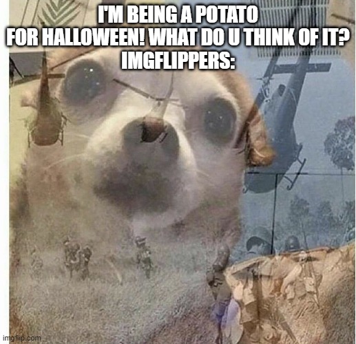 january was a tough month for quality memes... | I'M BEING A POTATO FOR HALLOWEEN! WHAT DO U THINK OF IT?
IMGFLIPPERS: | image tagged in ptsd chihuahua,potato,vegetables,flashback | made w/ Imgflip meme maker