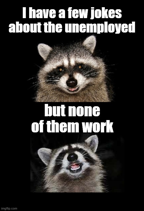 No joke | I have a few jokes about the unemployed; but none of them work | image tagged in lame pun coon,lame pun,lame joke,raccon meme | made w/ Imgflip meme maker