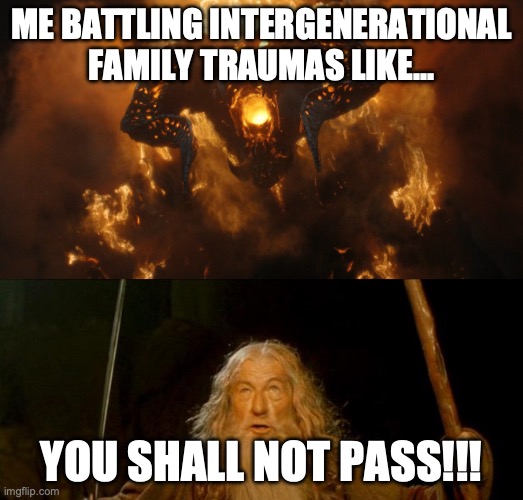 Battling Traumas | ME BATTLING INTERGENERATIONAL FAMILY TRAUMAS LIKE... YOU SHALL NOT PASS!!! | image tagged in you shall not pass | made w/ Imgflip meme maker