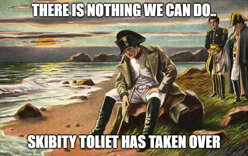 Napoleon | THERE IS NOTHING WE CAN DO.. SKIBITY TOLIET HAS TAKEN OVER | image tagged in napoleon | made w/ Imgflip meme maker