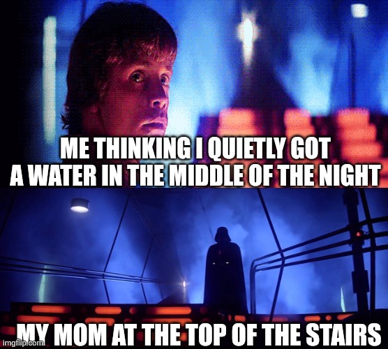 YOU NEED THE FORCE BEFORE GOING TO HER | ME THINKING I QUIETLY GOT A WATER IN THE MIDDLE OF THE NIGHT; MY MOM AT THE TOP OF THE STAIRS | image tagged in fear | made w/ Imgflip meme maker