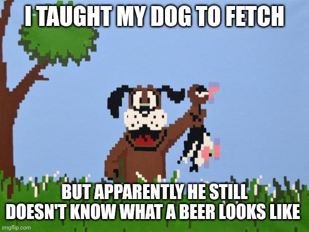 Duck hunt | I TAUGHT MY DOG TO FETCH; BUT APPARENTLY HE STILL DOESN'T KNOW WHAT A BEER LOOKS LIKE | image tagged in duck hunt | made w/ Imgflip meme maker