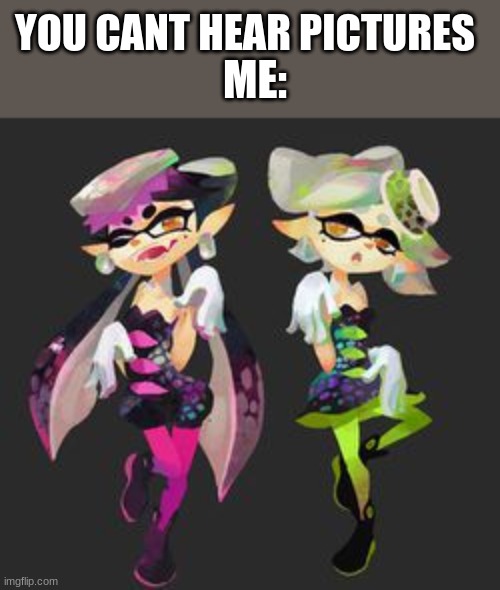 exgwaah | YOU CANT HEAR PICTURES; ME: | image tagged in squid sisters | made w/ Imgflip meme maker