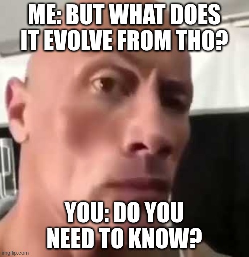 The Rock Eyebrows | ME: BUT WHAT DOES IT EVOLVE FROM THO? YOU: DO YOU NEED TO KNOW? | image tagged in the rock eyebrows | made w/ Imgflip meme maker
