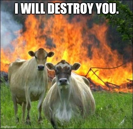 Evil Cows Meme | I WILL DESTROY YOU. | image tagged in memes,evil cows | made w/ Imgflip meme maker