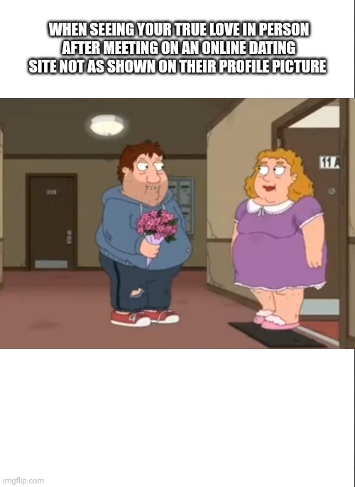 When meeting from an Online Dating App not looking like your Profile Picture | WHEN SEEING YOUR TRUE LOVE IN PERSON AFTER MEETING ON AN ONLINE DATING SITE NOT AS SHOWN ON THEIR PROFILE PICTURE | image tagged in online dating,family guy | made w/ Imgflip meme maker