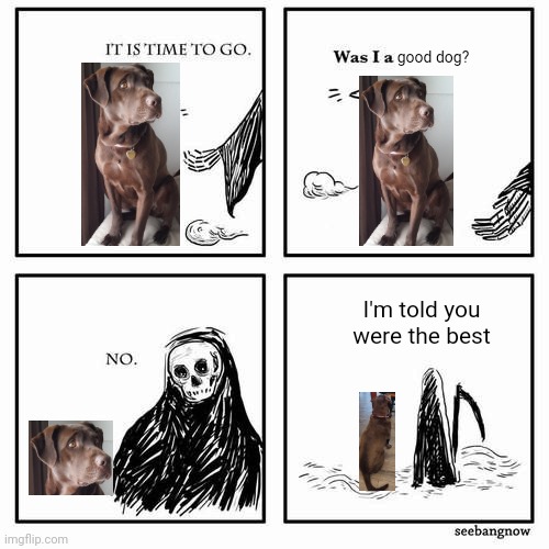 Feat my recently passed away doggy | good dog? I'm told you were the best | image tagged in it is time to go,dog,doge,yes | made w/ Imgflip meme maker